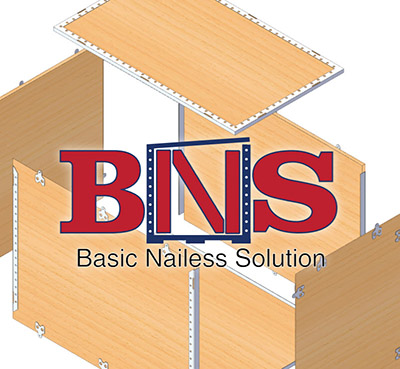 BNS Logo